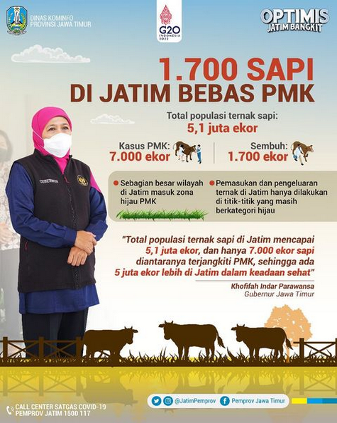 Jelang Hari Raya Idul Adha, 1.700 Sapi di Jatim Bebas PMK